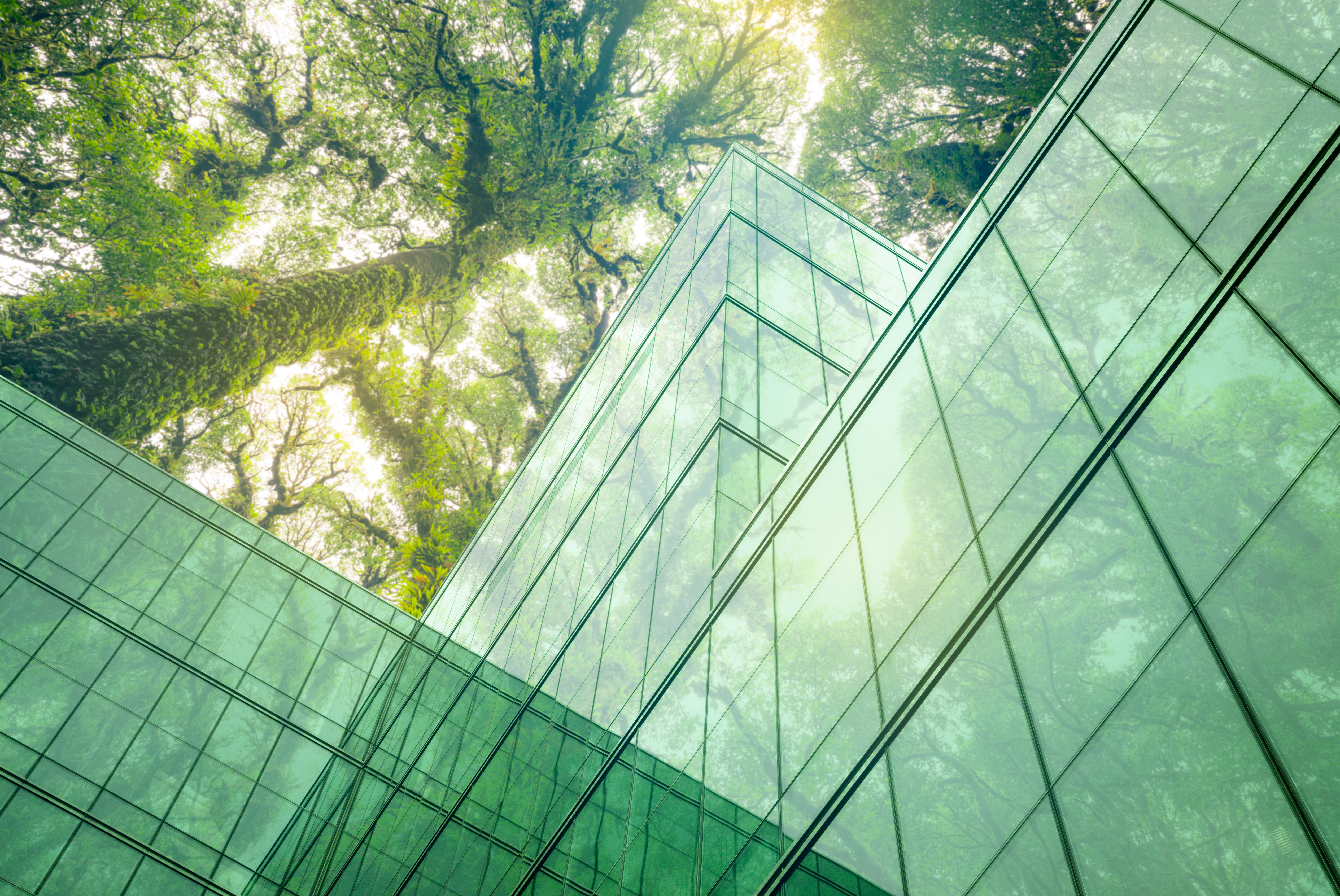 eco friendly building to illustrate sustainable finance in the real estate industry